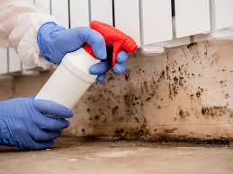 Mold Documentation for Insurance Claims in Round Lake Park, IL